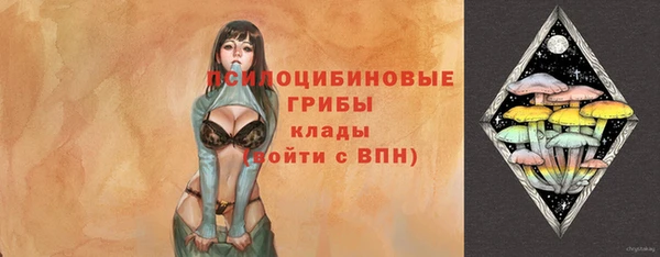 прущий лед Аркадак