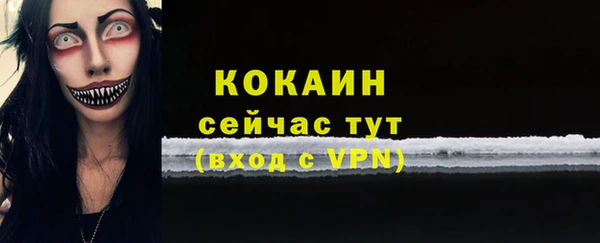 соль ск Арсеньев