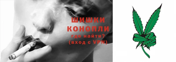 соль ск Арсеньев