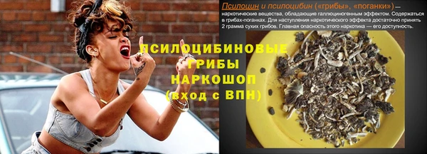 прущий лед Аркадак
