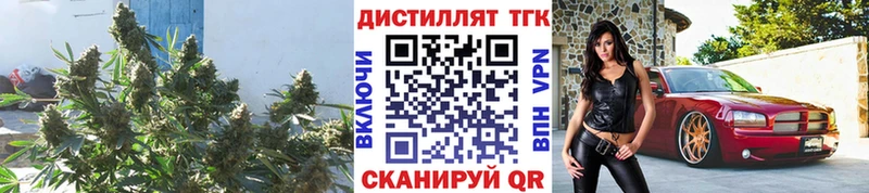 Дистиллят ТГК жижа  где можно купить наркотик  Балтийск 