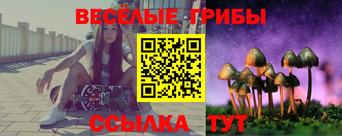 Псилоцибиновые грибы прущие грибы Балтийск