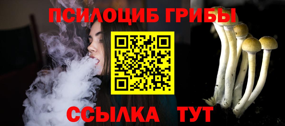 как найти наркотики  Псилоцибиновые грибы мицелий  Вход с VPN  Балтийск 