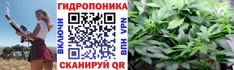 МАРИХУАНА семена Балтийск